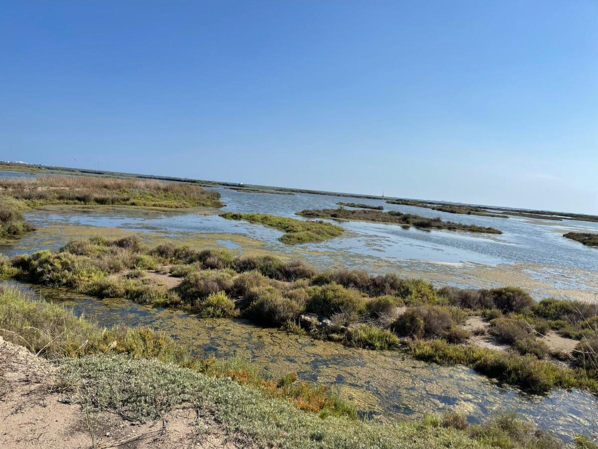Vila La Calma Del Delta L'Eucaliptus Exteriér fotografie