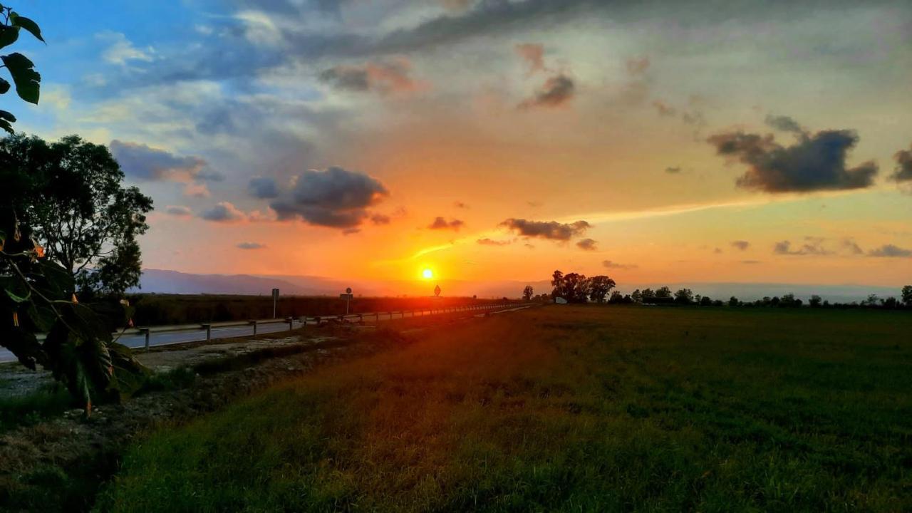 Vila La Calma Del Delta L'Eucaliptus Exteriér fotografie