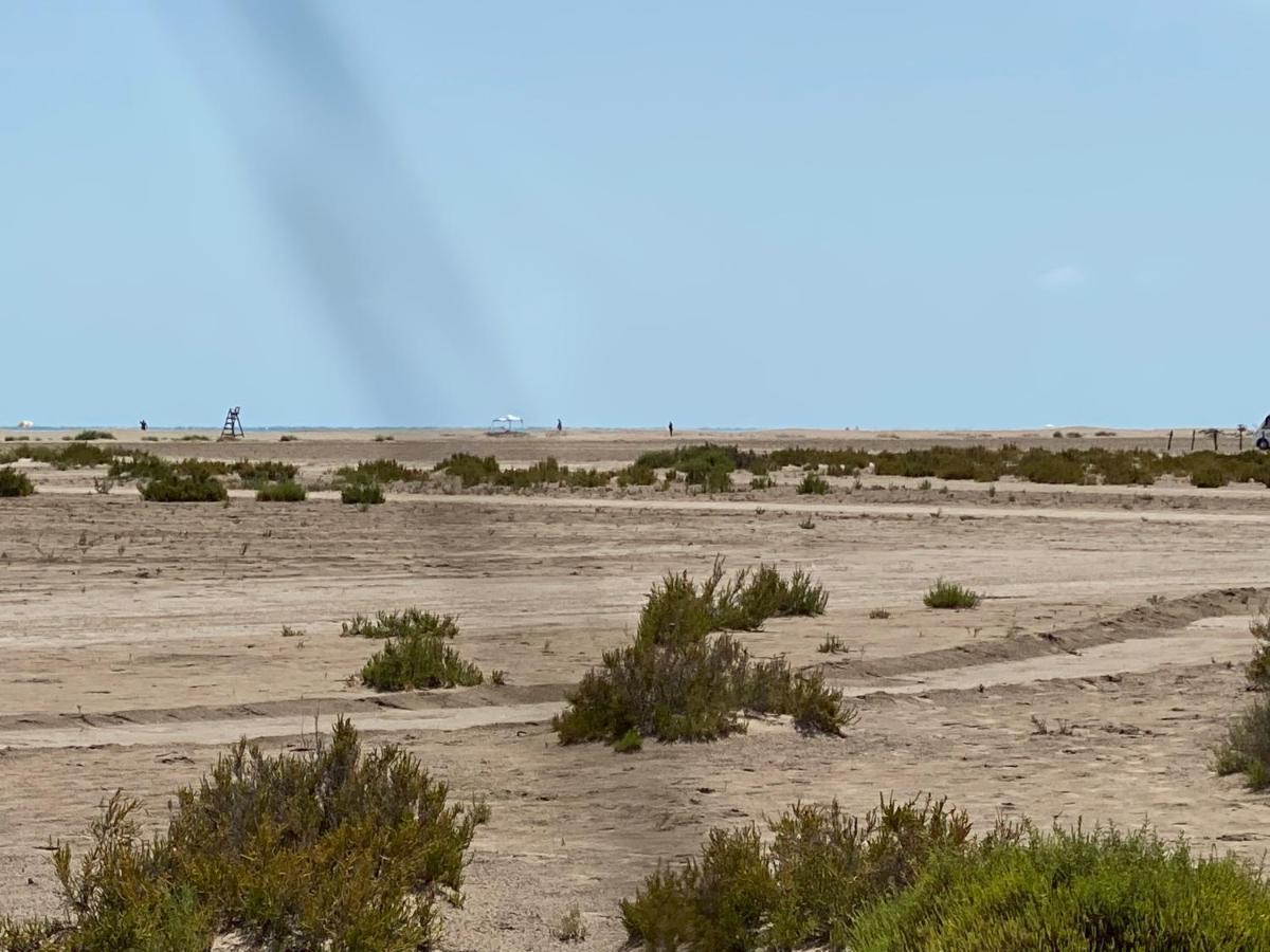 Vila La Calma Del Delta L'Eucaliptus Exteriér fotografie